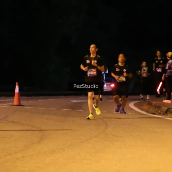 Runner Photo 3539307