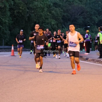 Runner Photo 3539314
