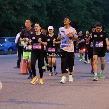 Runner Photo 3539318