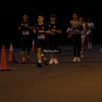 Runner Photo 3539332