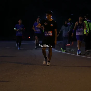 Runner Photo 3539354