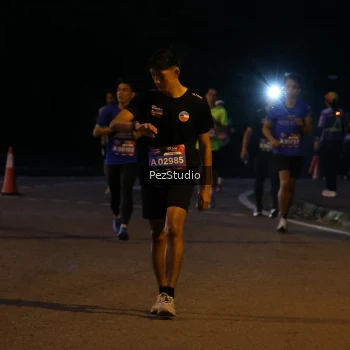 Runner Photo 3539358