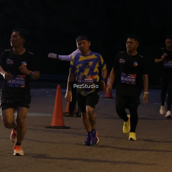 Runner Photo 3539359