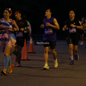 Runner Photo 3539361