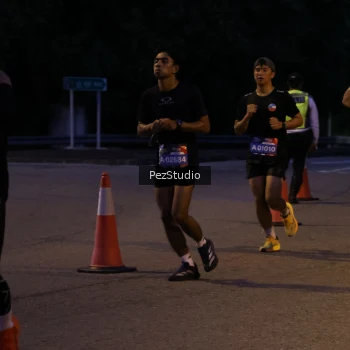 Runner Photo 3539392