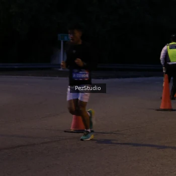Runner Photo 3539401