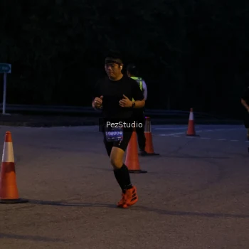 Runner Photo 3539411