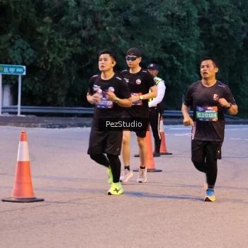 Runner Photo 3539438