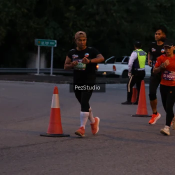 Runner Photo 3539442