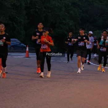 Runner Photo 3539444