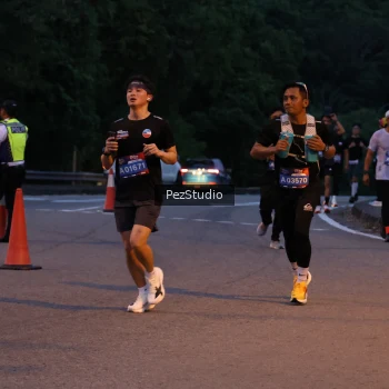 Runner Photo 3539447
