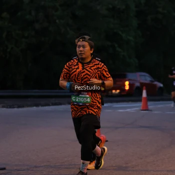 Runner Photo 3539452