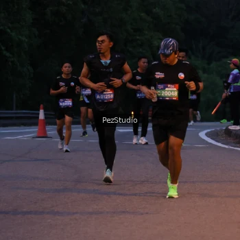 Runner Photo 3539453