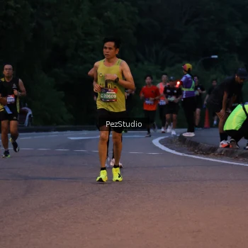 Runner Photo 3539454