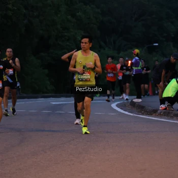 Runner Photo 3539455