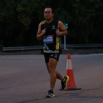 Runner Photo 3539457