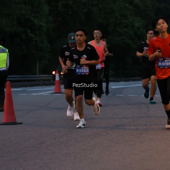 Runner Photo 3539463