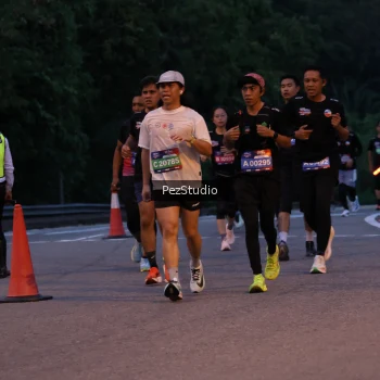 Runner Photo 3539469