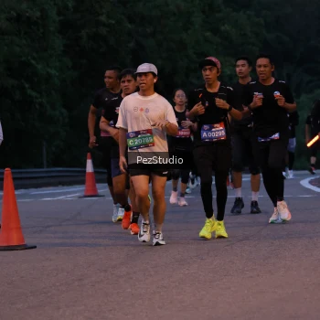 Runner Photo 3539470