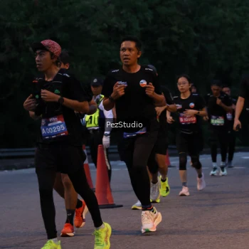 Runner Photo 3539471