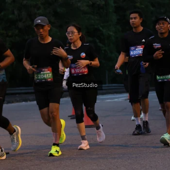 Runner Photo 3539474