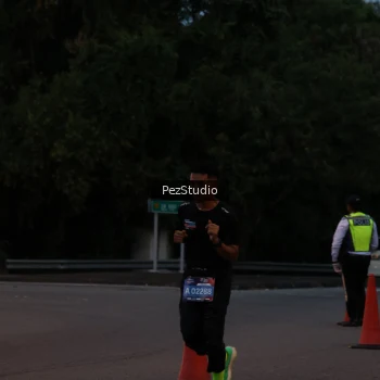 Runner Photo 3539477