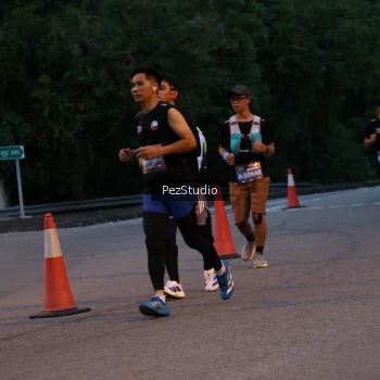 Runner Photo 3539478