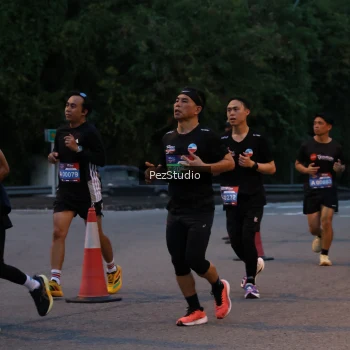 Runner Photo 3539481