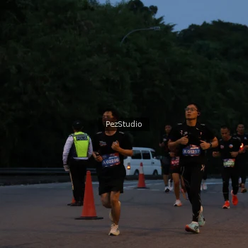Runner Photo 3539484