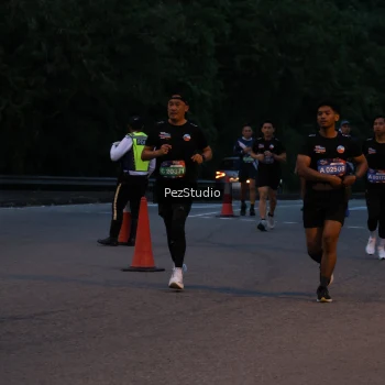 Runner Photo 3539487