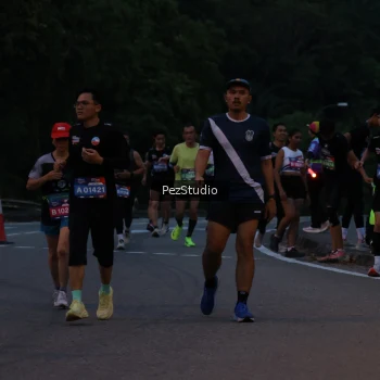 Runner Photo 3539490