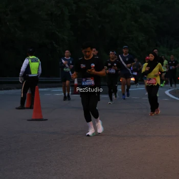 Runner Photo 3539492