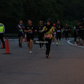 Runner Photo 3539493
