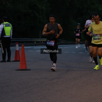 Runner Photo 3539498
