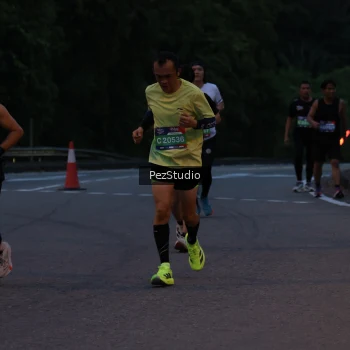 Runner Photo 3539500