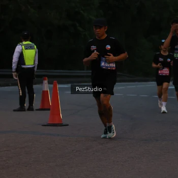 Runner Photo 3539506