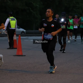 Runner Photo 3539521