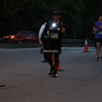 Runner Photo 3539524