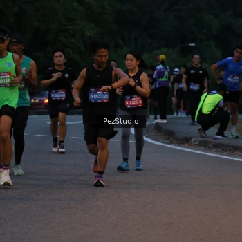 Runner Photo 3539526