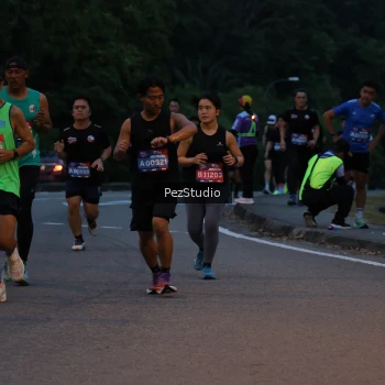 Runner Photo 3539527
