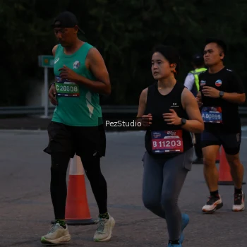 Runner Photo 3539528