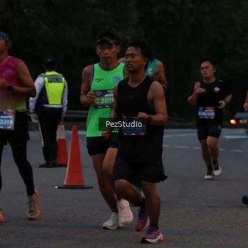 Runner Photo 3539531