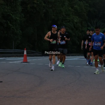 Runner Photo 3539533