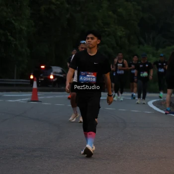 Runner Photo 3539535