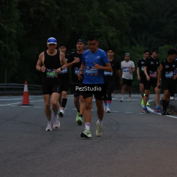 Runner Photo 3539536