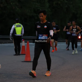 Runner Photo 3539540
