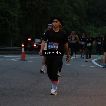 Runner Photo 3539541