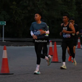 Runner Photo 3539542