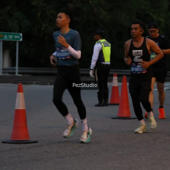 Runner Photo 3539543