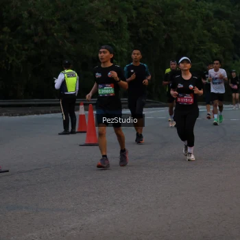 Runner Photo 3539546